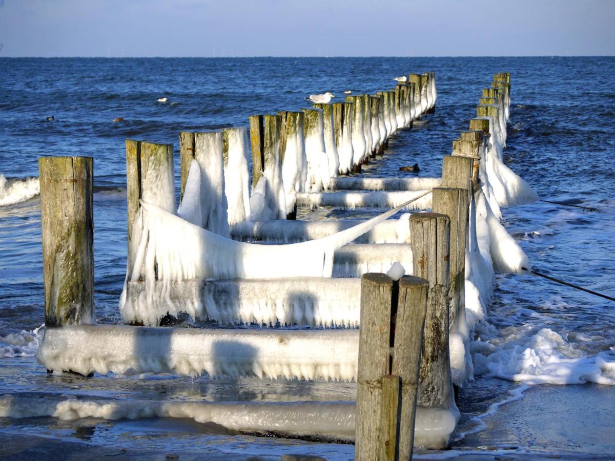 Kavelweg 13 Whg 4 - Kleiner Kaeptn Leilighet Zingst Eksteriør bilde