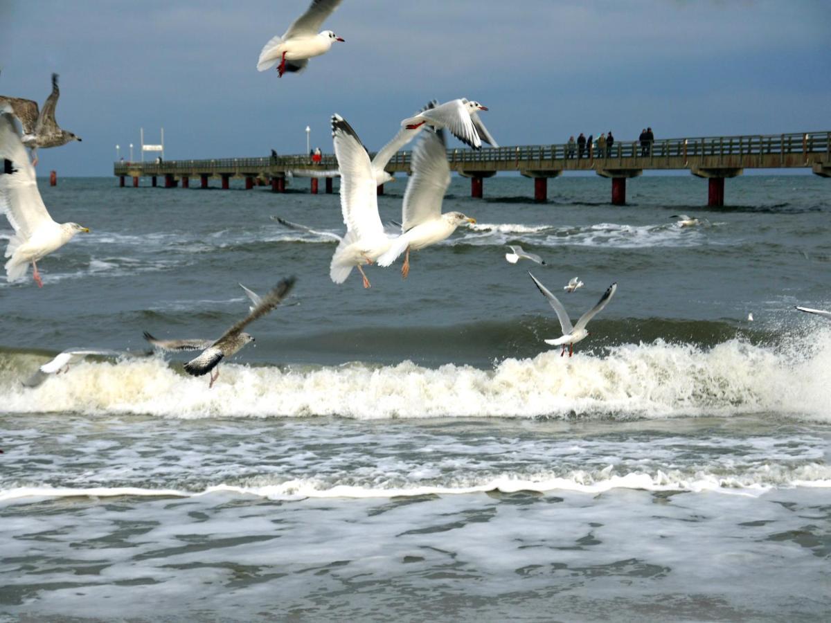 Kavelweg 13 Whg 4 - Kleiner Kaeptn Leilighet Zingst Eksteriør bilde