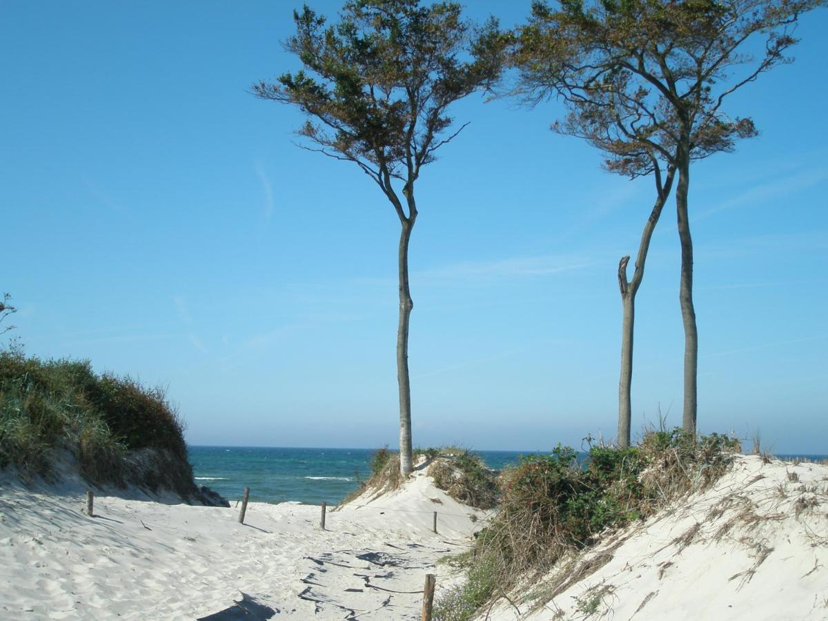 Kavelweg 13 Whg 4 - Kleiner Kaeptn Leilighet Zingst Eksteriør bilde